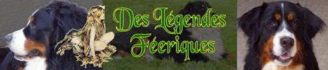 Cliquez ici !
